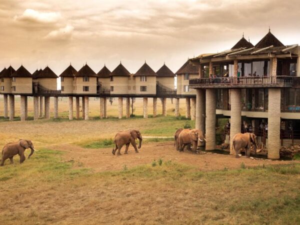 4 days, Amboseli, Tsavo West and Tsavo East Safari